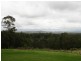 1123 Rivertree Road, Liston NSW 2372