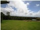 1123 Rivertree Road, Liston NSW 2372