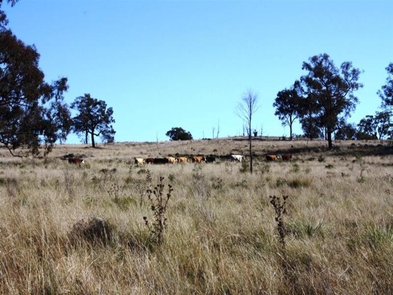 Lot 4 Mountain Maid Road, Greymare QLD 4370