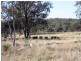 Lot 4 Mountain Maid Road, Greymare QLD 4370
