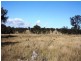 Lot 4 Mountain Maid Road, Greymare QLD 4370