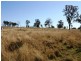 Lot 4 Mountain Maid Road, Greymare QLD 4370