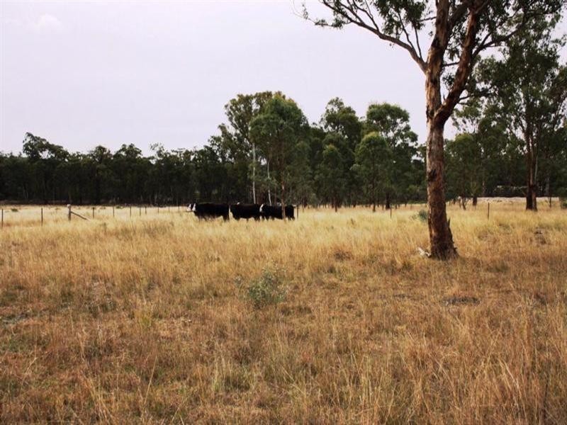 Lot 3 Back Creek Road, Karara QLD 4352