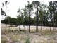 Lot 3 Back Creek Road, Karara QLD 4352
