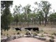 Lot 4 Back Creek Road, Karara QLD 4352