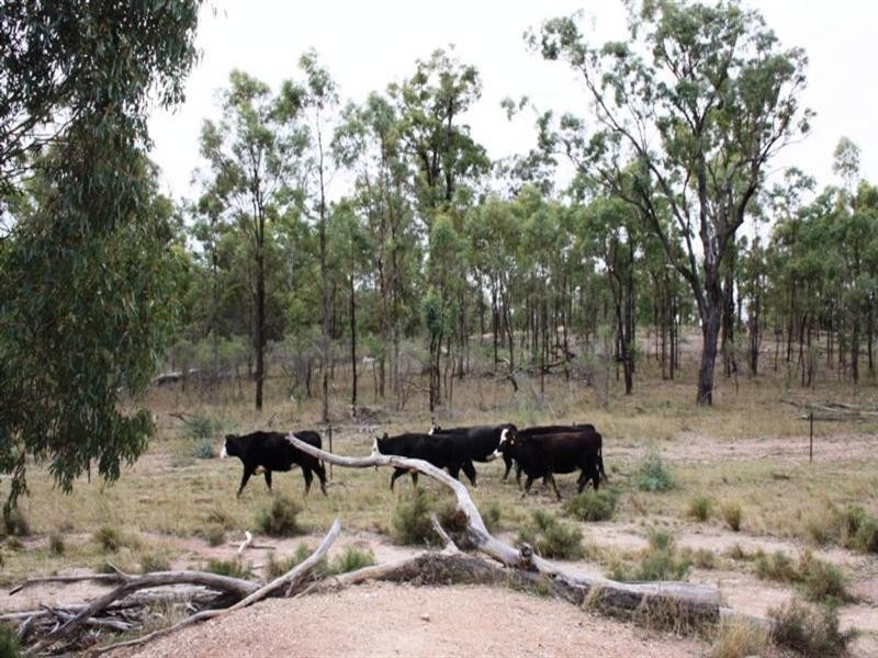 Lot 4 Back Creek Road, Karara QLD 4352