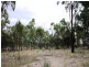 Lot 4 Back Creek Road, Karara QLD 4352