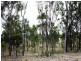 Lot 4 Back Creek Road, Karara QLD 4352
