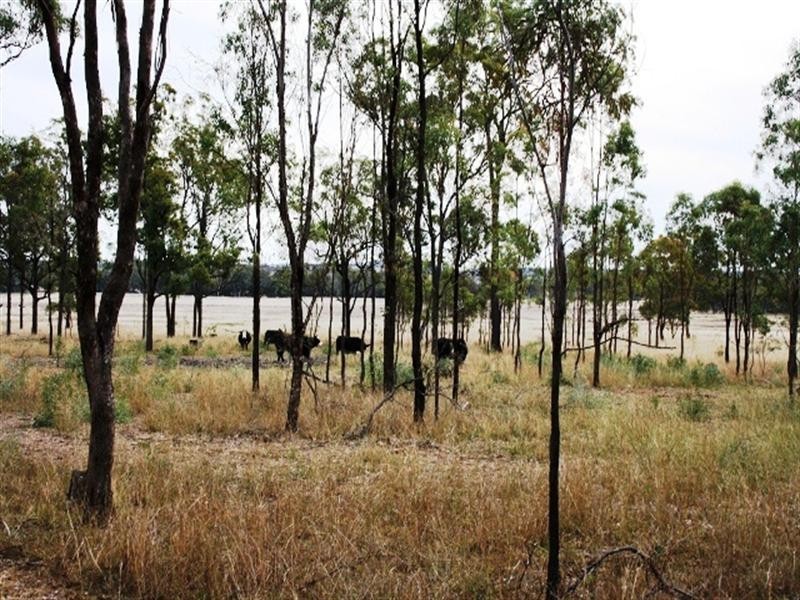 Lot 5 Back Creek Road, Karara QLD 4352