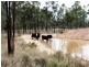 Lot 5 Back Creek Road, Karara QLD 4352