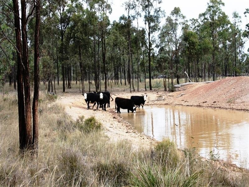 Lot 5 Back Creek Road, Karara QLD 4352