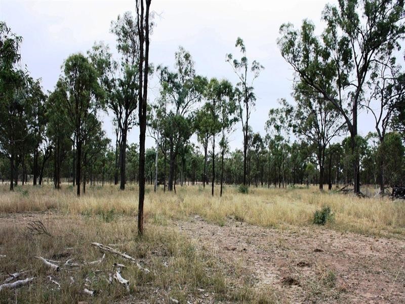 Lot 5 Back Creek Road, Karara QLD 4352