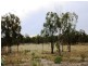 Lot 5 Back Creek Road, Karara QLD 4352