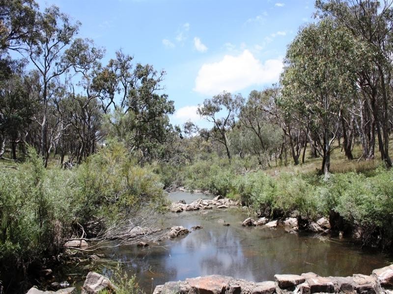 21727 New England Highway, Dalveen QLD 4374