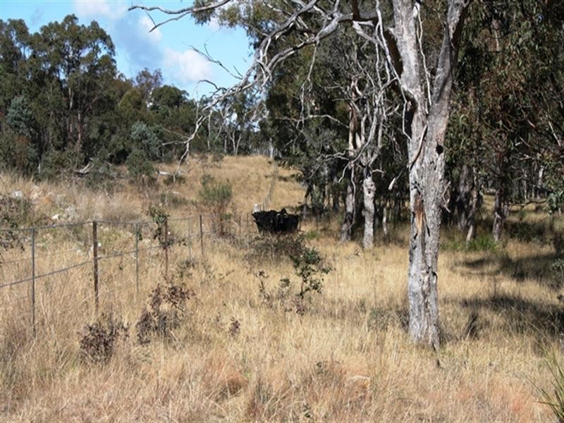 21727 New England Highway, Dalveen QLD 4374