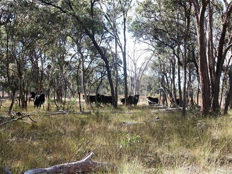 21727 New England Highway, Dalveen QLD 4374