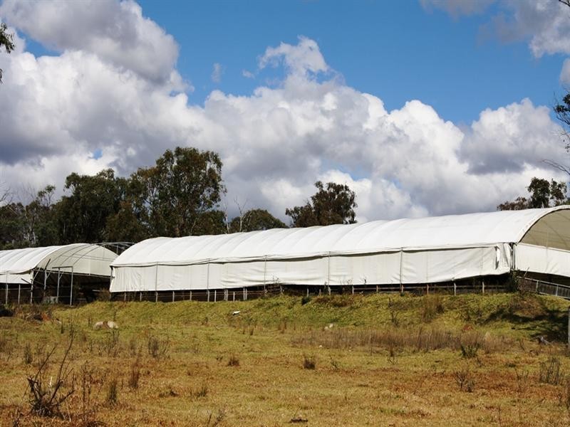 21727 New England Highway, Dalveen QLD 4374