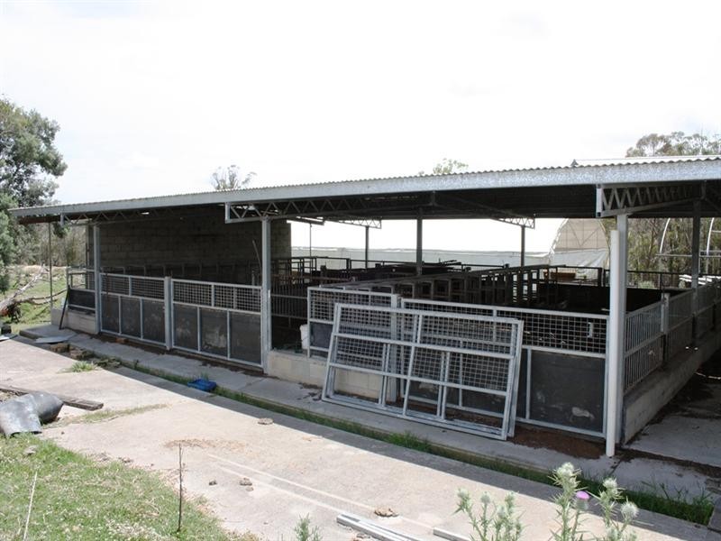 21727 New England Highway, Dalveen QLD 4374