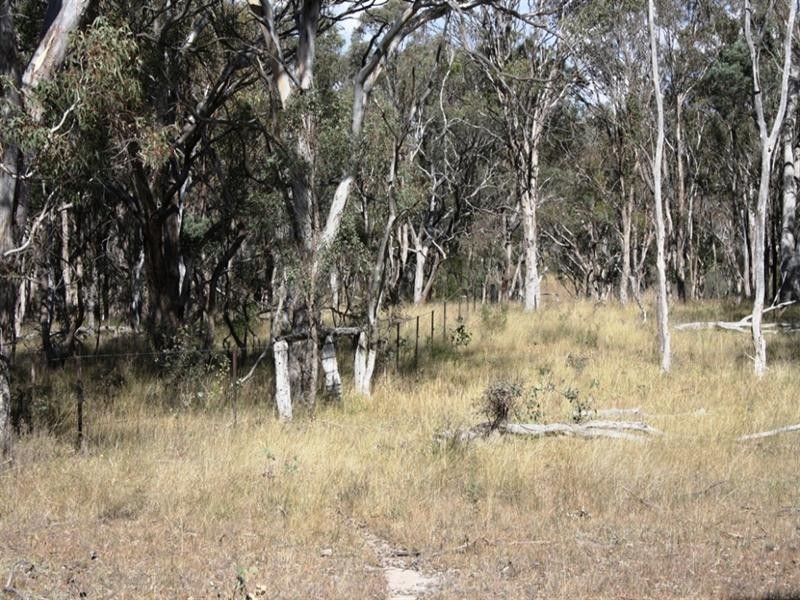 21727 New England Highway, Dalveen QLD 4374