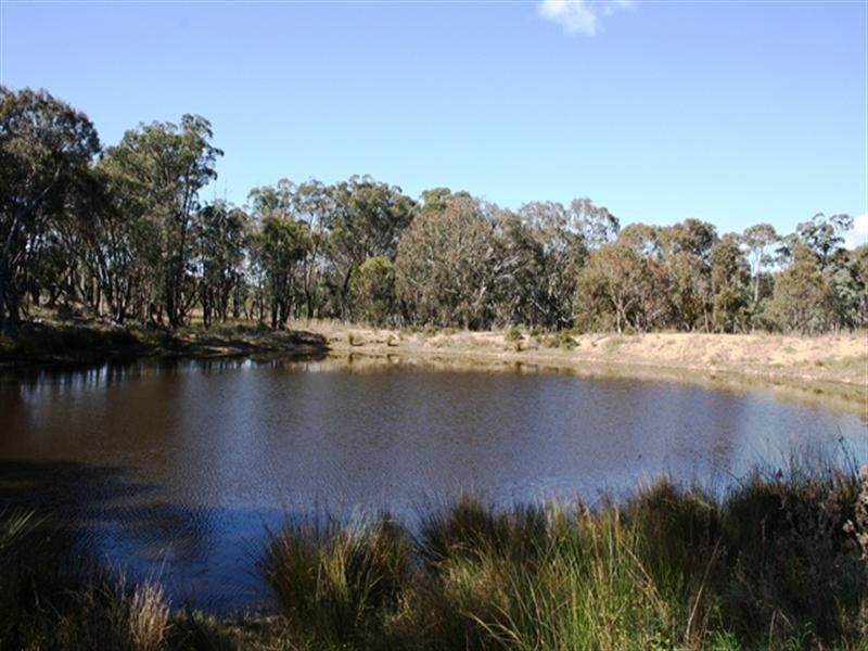 21727 New England Highway, Dalveen QLD 4374