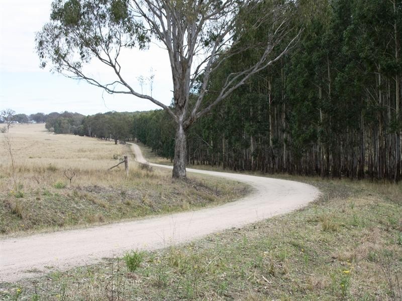 Lot 101 Wylie Creek Road, Wylie Creek NSW 2372