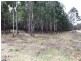 Lot 101 Wylie Creek Road, Wylie Creek NSW 2372