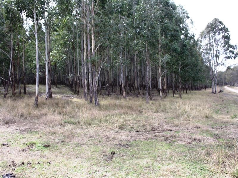 Lot 101 Wylie Creek Road, Wylie Creek NSW 2372