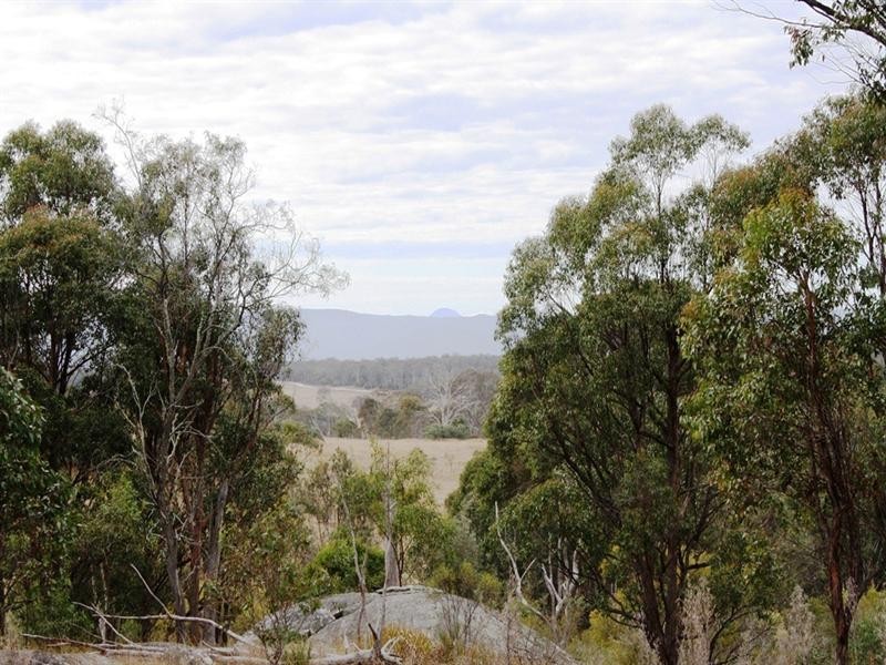 Lot 101 Wylie Creek Road, Wylie Creek NSW 2372
