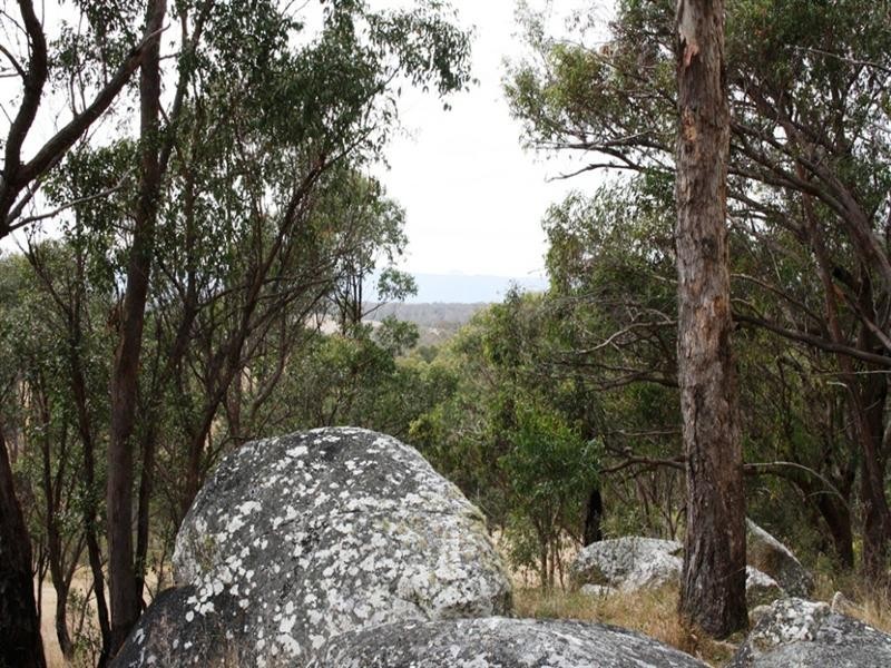 Lot 101 Wylie Creek Road, Wylie Creek NSW 2372