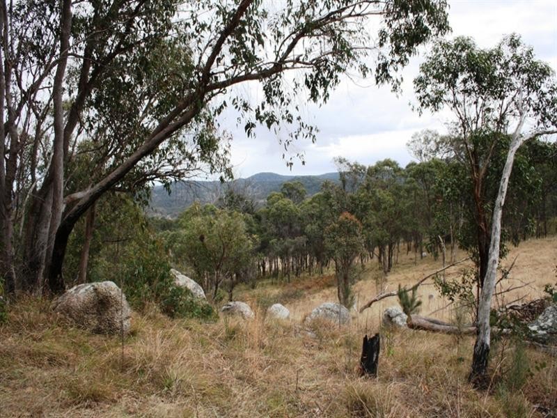Lot 101 Wylie Creek Road, Wylie Creek NSW 2372
