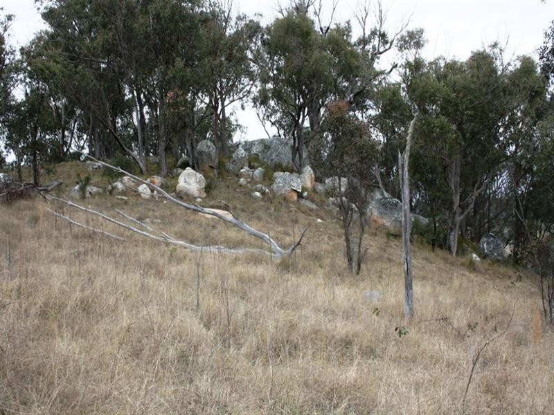 Lot 101 Wylie Creek Road, Wylie Creek NSW 2372