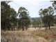 Lot 101 Wylie Creek Road, Wylie Creek NSW 2372