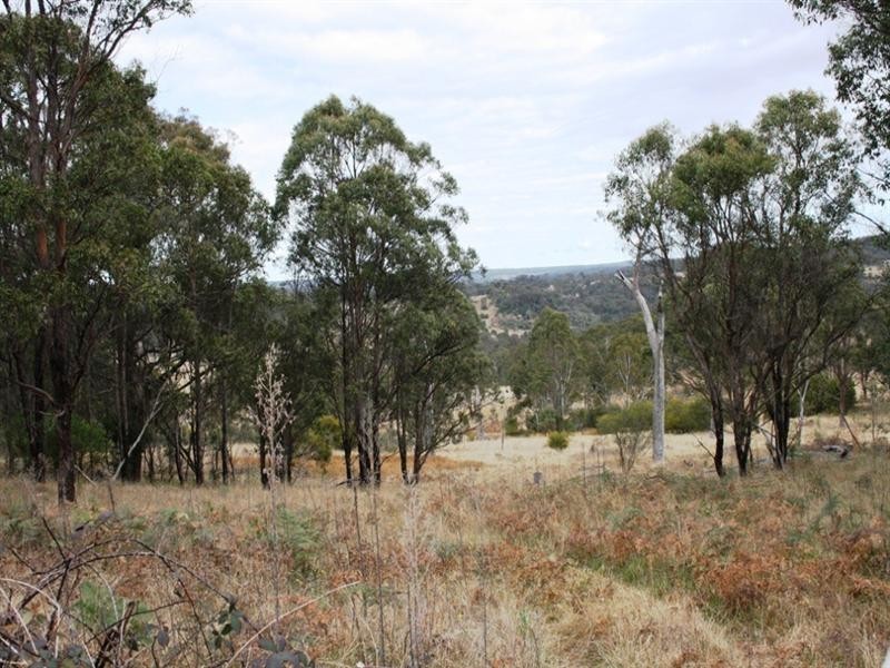 Lot 101 Wylie Creek Road, Wylie Creek NSW 2372
