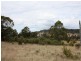 Lot 101 Wylie Creek Road, Wylie Creek NSW 2372