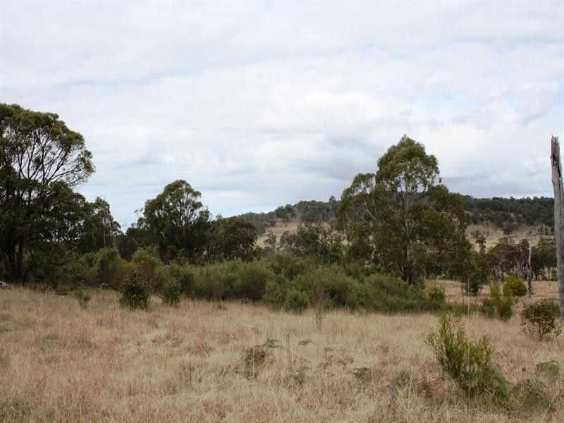 Lot 101 Wylie Creek Road, Wylie Creek NSW 2372