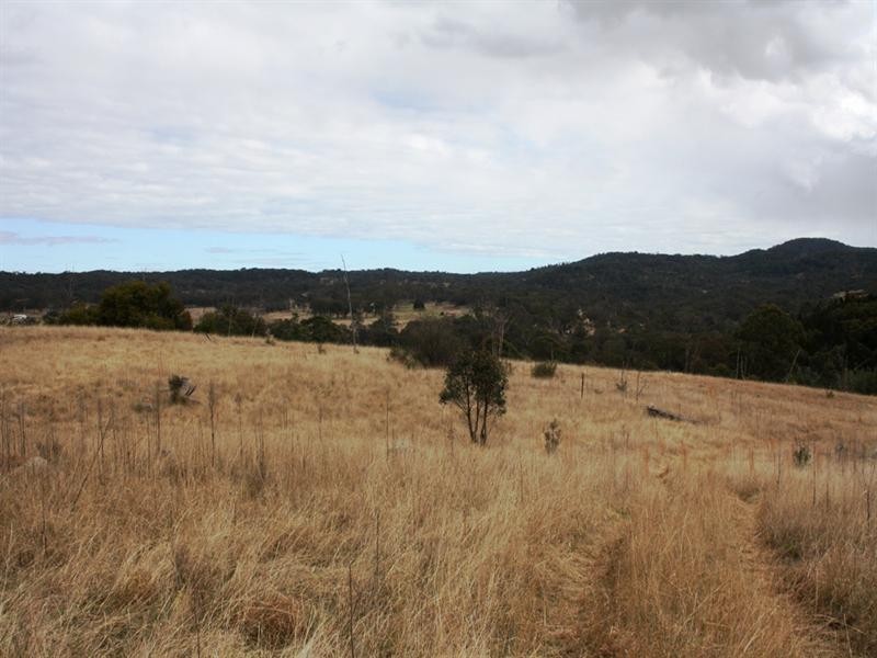 Lot 101 Wylie Creek Road, Wylie Creek NSW 2372