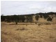 Lot 101 Wylie Creek Road, Wylie Creek NSW 2372