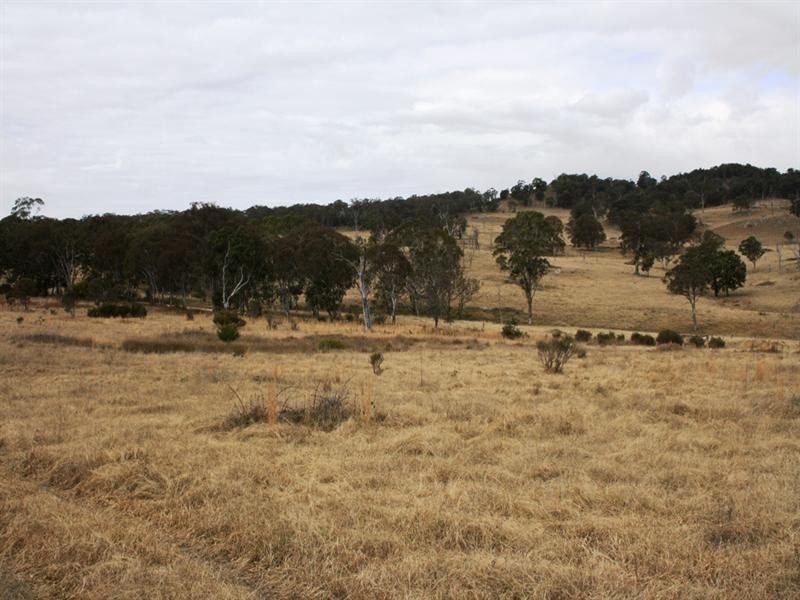 Lot 101 Wylie Creek Road, Wylie Creek NSW 2372
