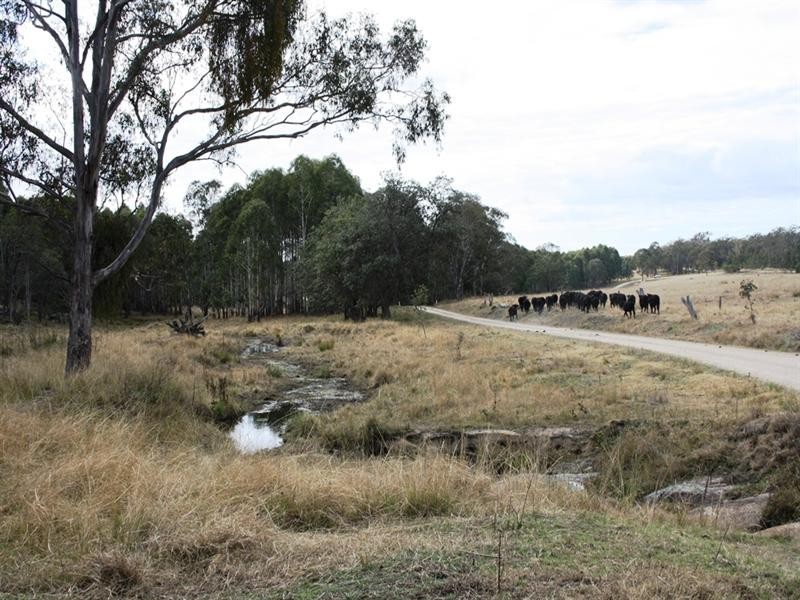 Lot 101 Wylie Creek Road, Wylie Creek NSW 2372