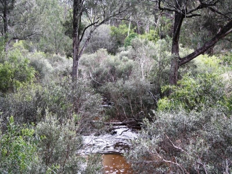 Lot 101 Wylie Creek Road, Wylie Creek NSW 2372