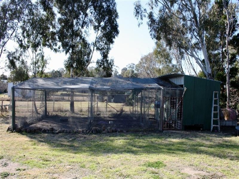 11 Warner Street, Warwick QLD 4370