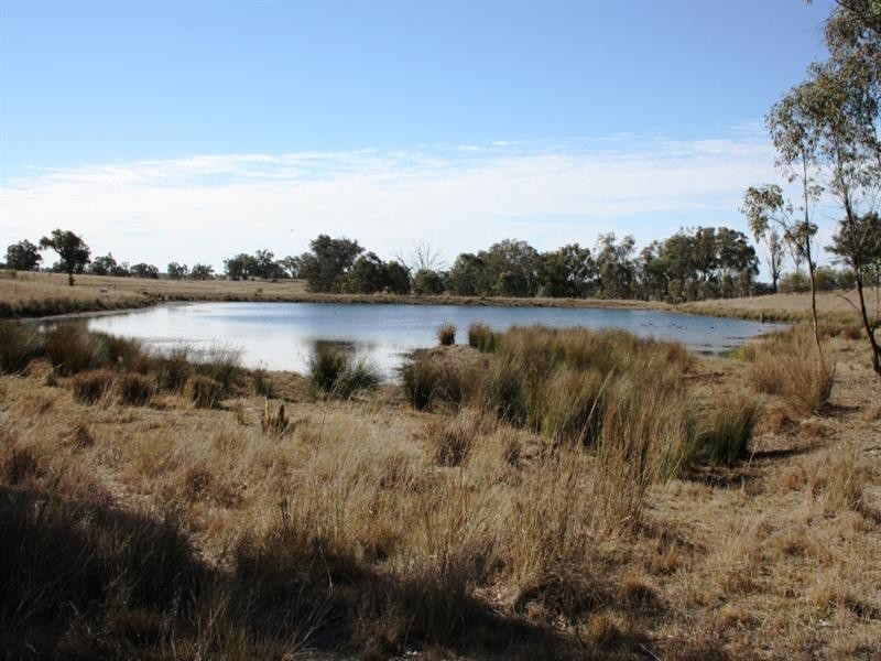 5789 Texas Road, Glenlyon QLD 4380