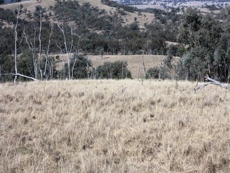5789 Texas Road, Glenlyon QLD 4380