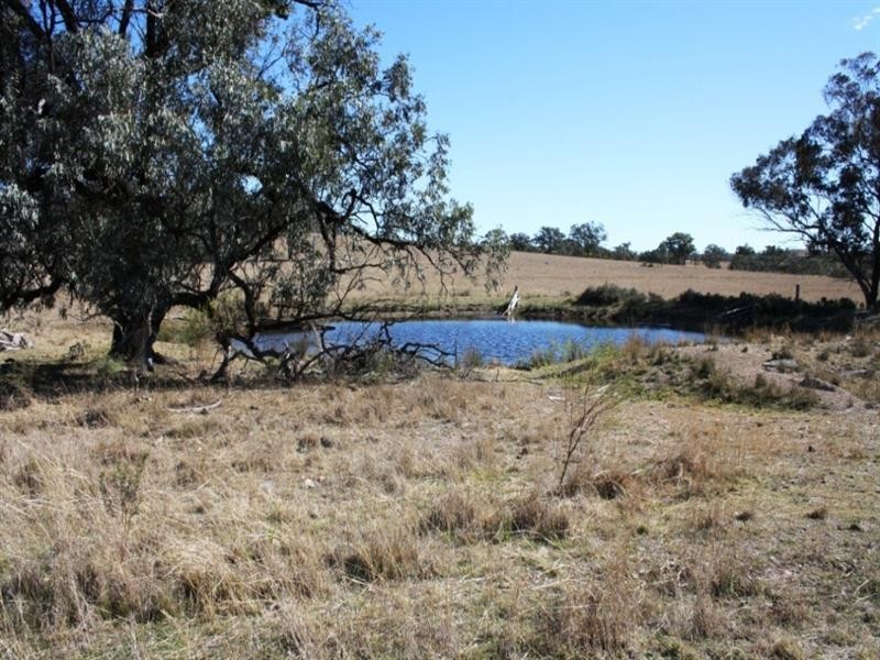 5789 Texas Road, Glenlyon QLD 4380