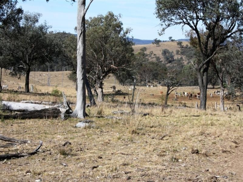5789 Texas Road, Glenlyon QLD 4380