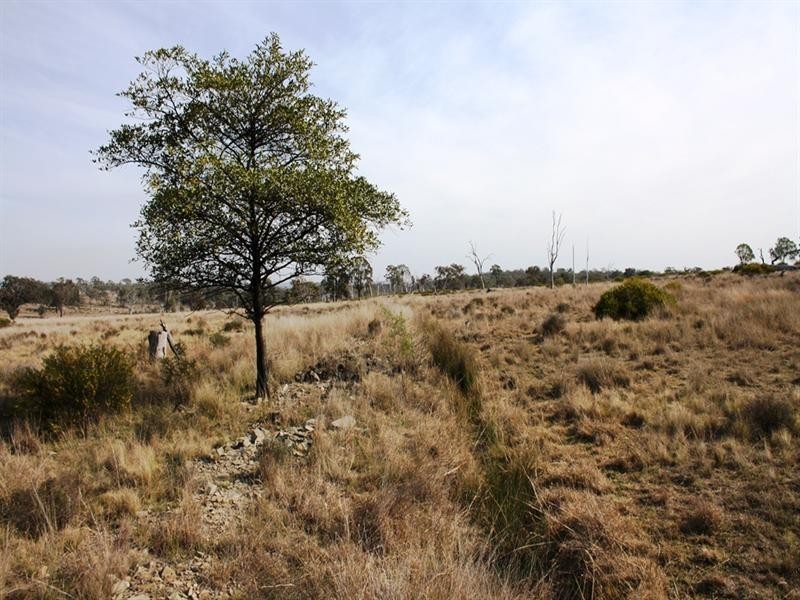 Lot 58 Rockdale Road, Karara QLD 4352