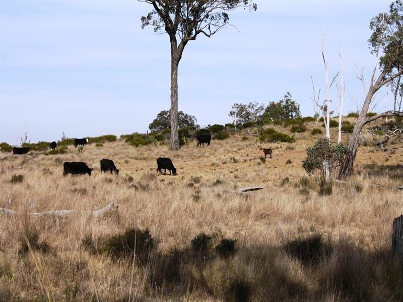 Lot 58 Rockdale Road, Karara QLD 4352