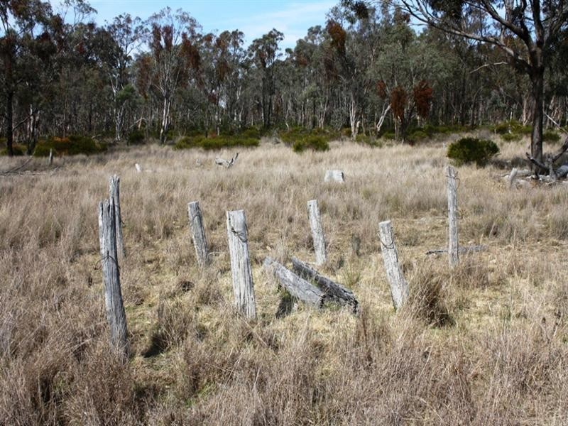 Lot 58 Rockdale Road, Karara QLD 4352