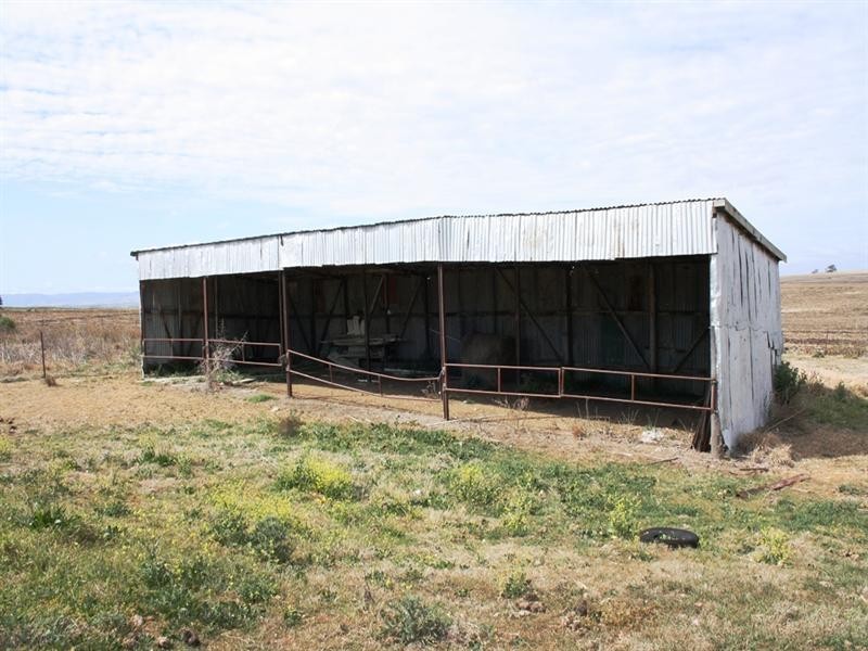 528 Roona Road, Junabee QLD 4370