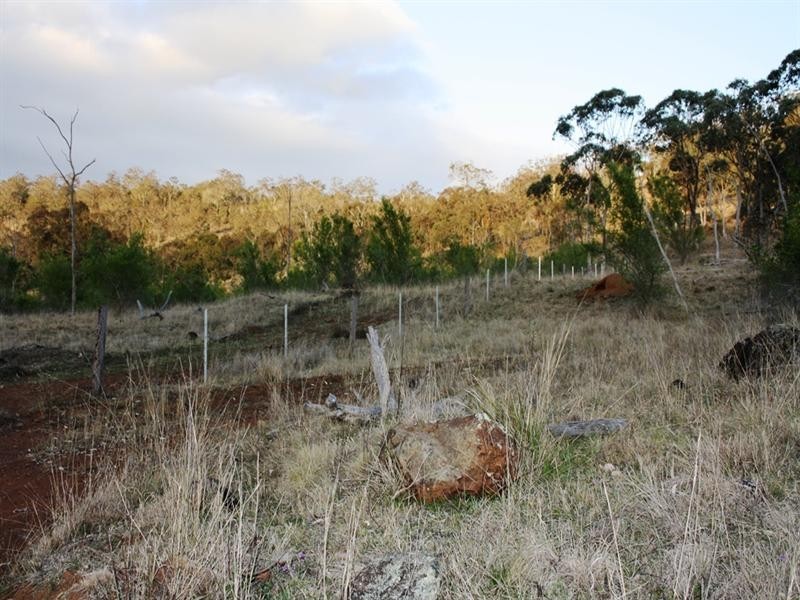 364 Blakes Road, Warwick QLD 4370